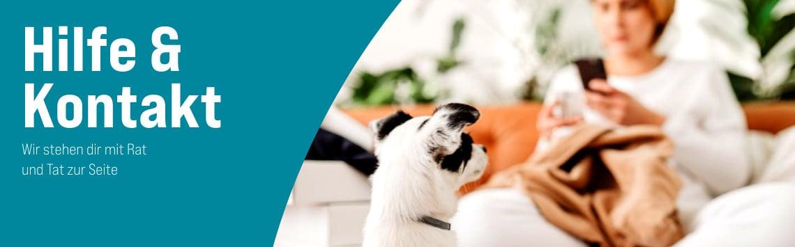 Kontakt Hund sitzt vor einer Person auf dem Sofa, die ein Smartphone hält.