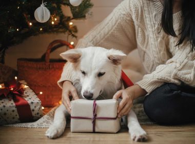 Weihnachtsgeschenke für Hunde