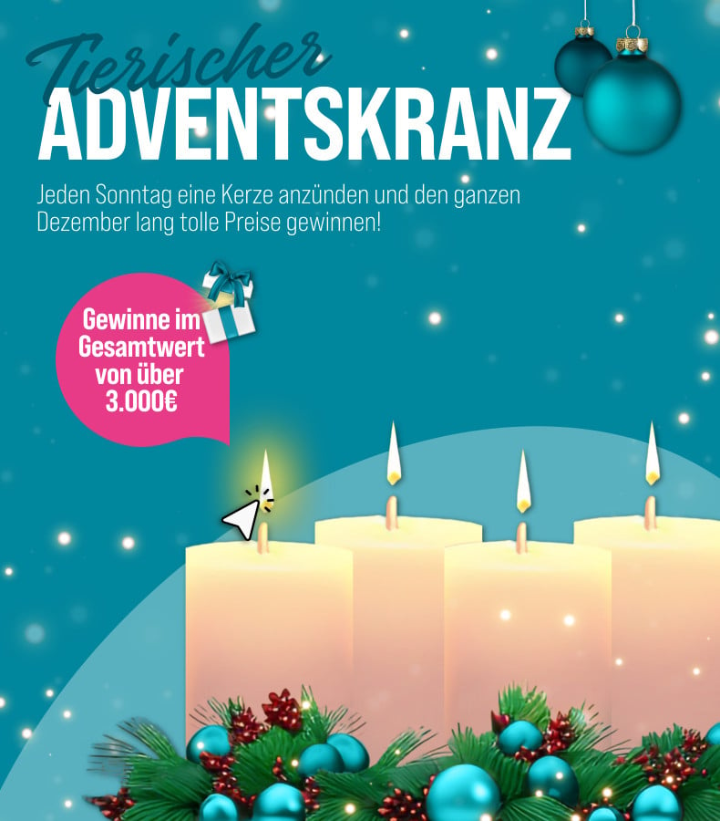 ZooRoyal Adventskalender Gewinnspiel