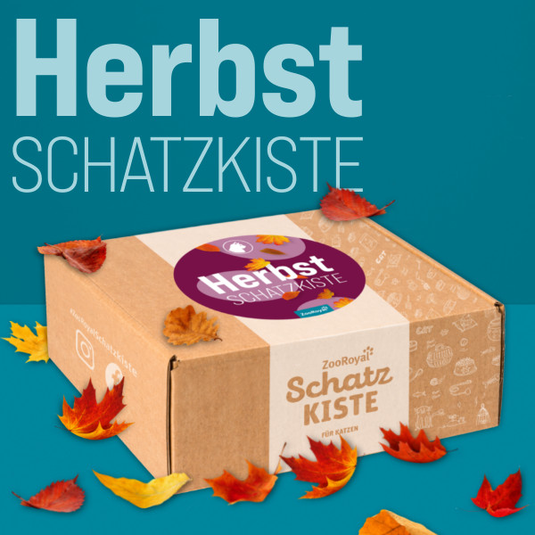 ZooRoyal Schatzkiste Katze Herbst-Edition