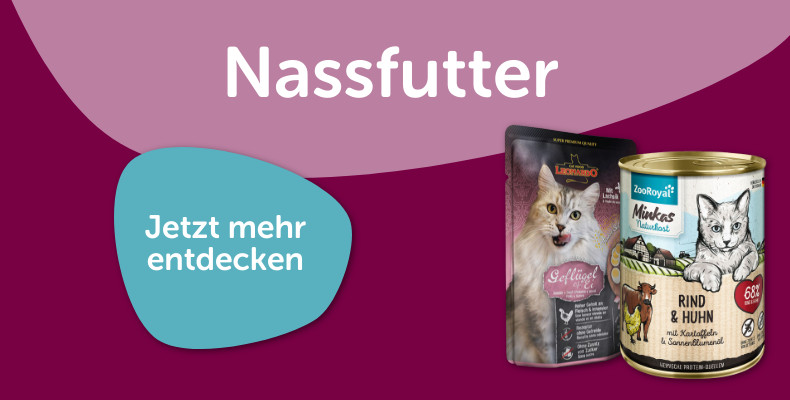 Nassfutter für Katzen