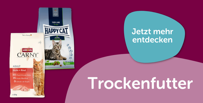 Trockenfutter für Katzen