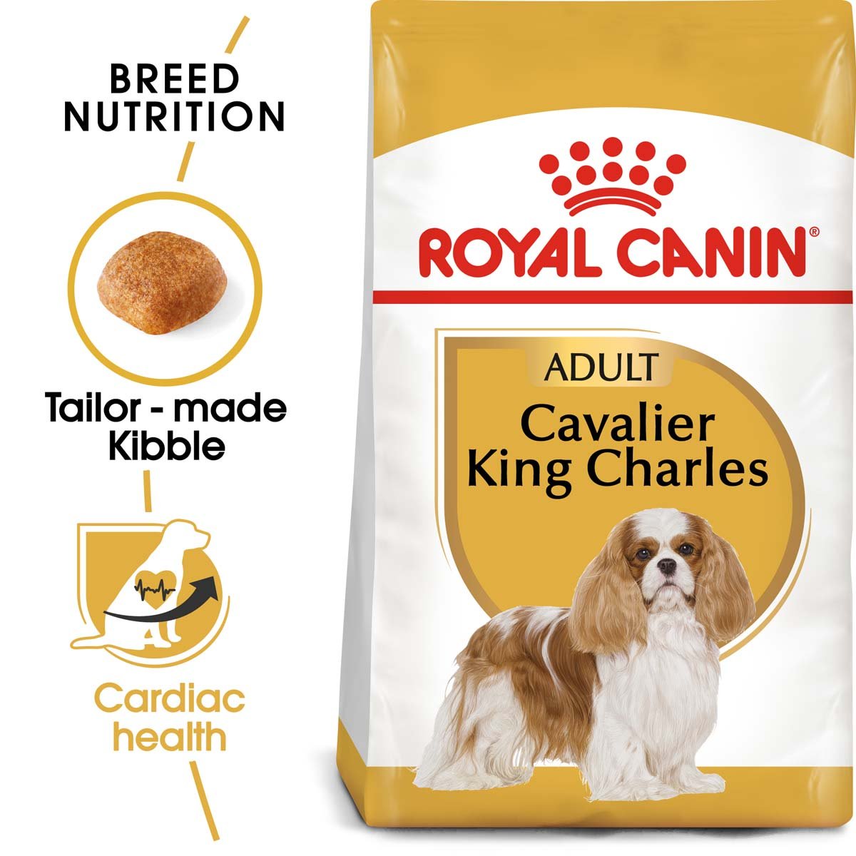 ROYAL CANIN Cavalier King Charles Adult Hundefutter trocken