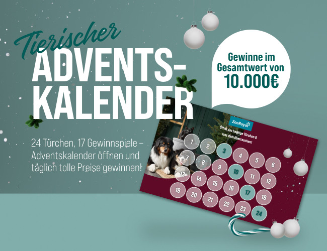 Geschenkideen