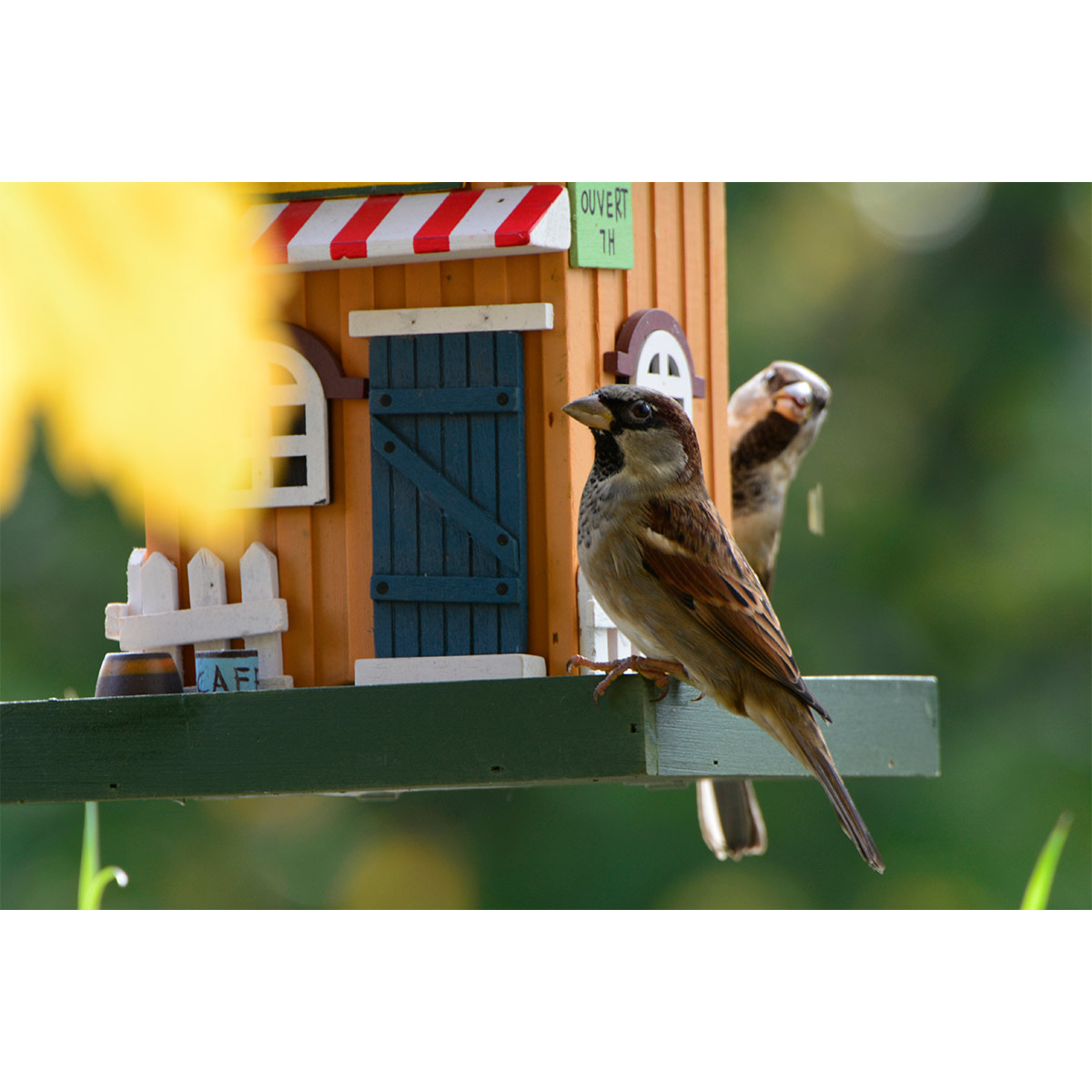 Dobar Vogelfutterhaus zum Aufhängen, geflammt kaufen bei ZooRoyal