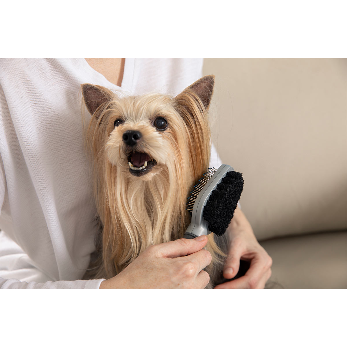 Furminator store yorkshire terrier