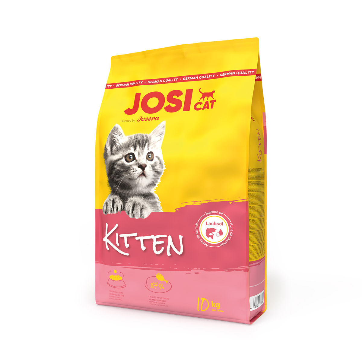 JosiCat Kitten