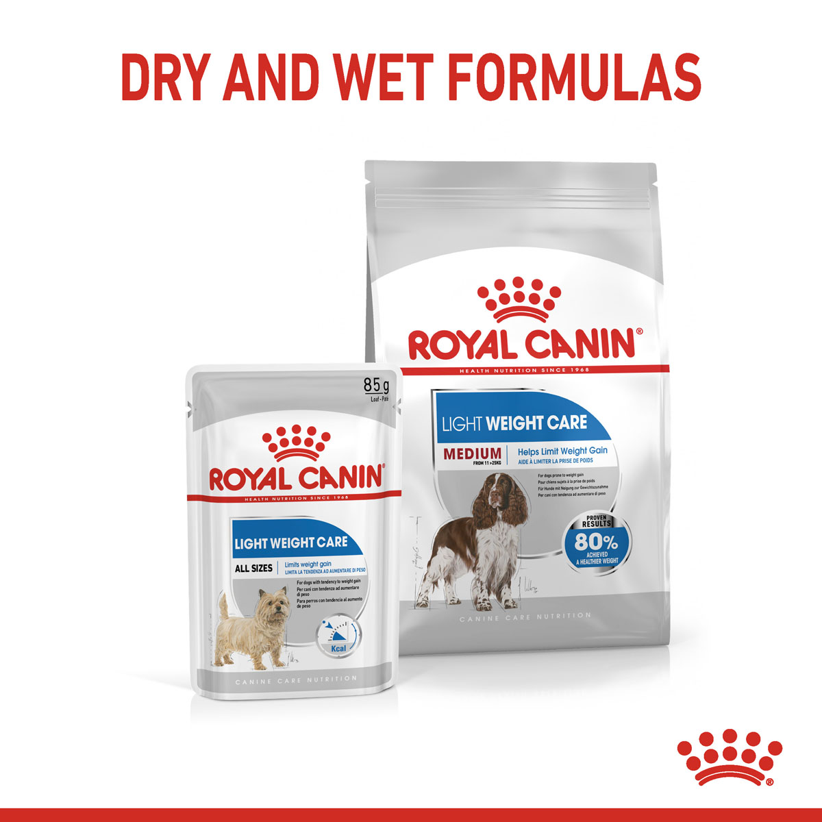 ROYAL CANIN LIGHT WEIGHT CARE MEDIUM 3kg + Mousse 12x85g