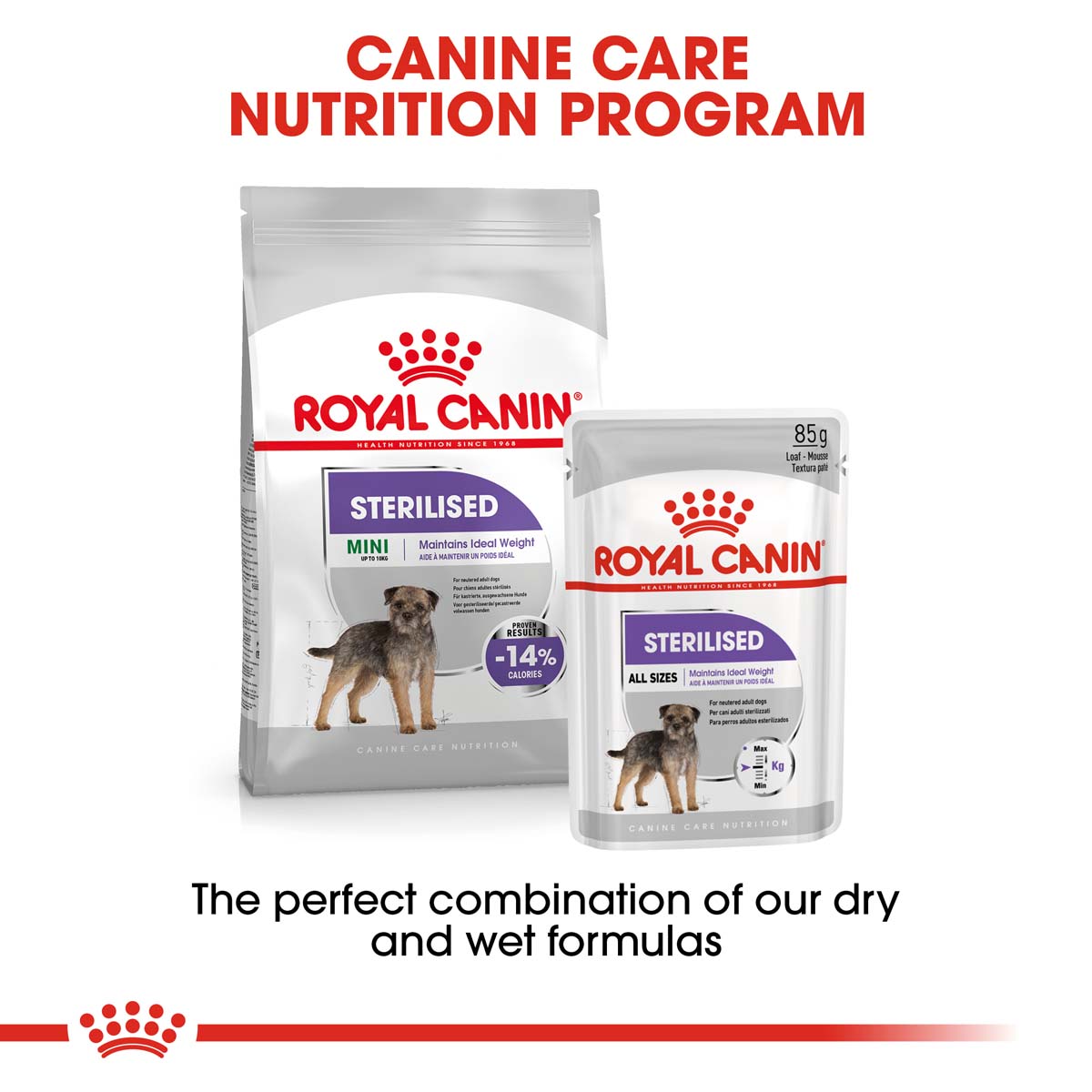 ROYAL CANIN STERILISED MINI 8kg + STERILISED Mousse 12x85g