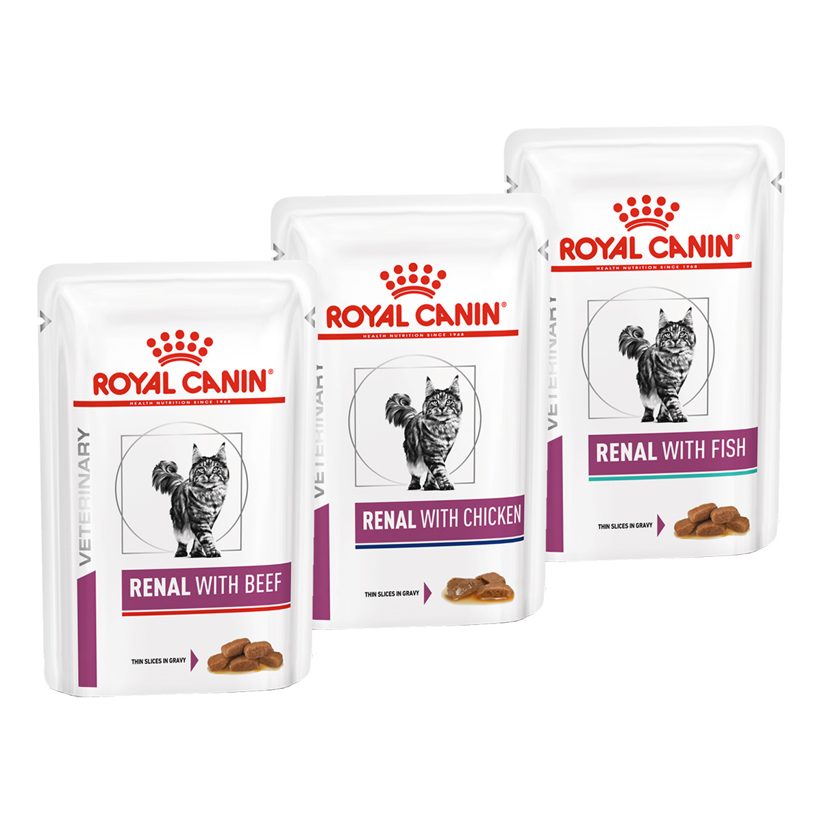 ROYAL CANIN RENAL Feine Stückchen in Sosse Mixpaket 48x85g