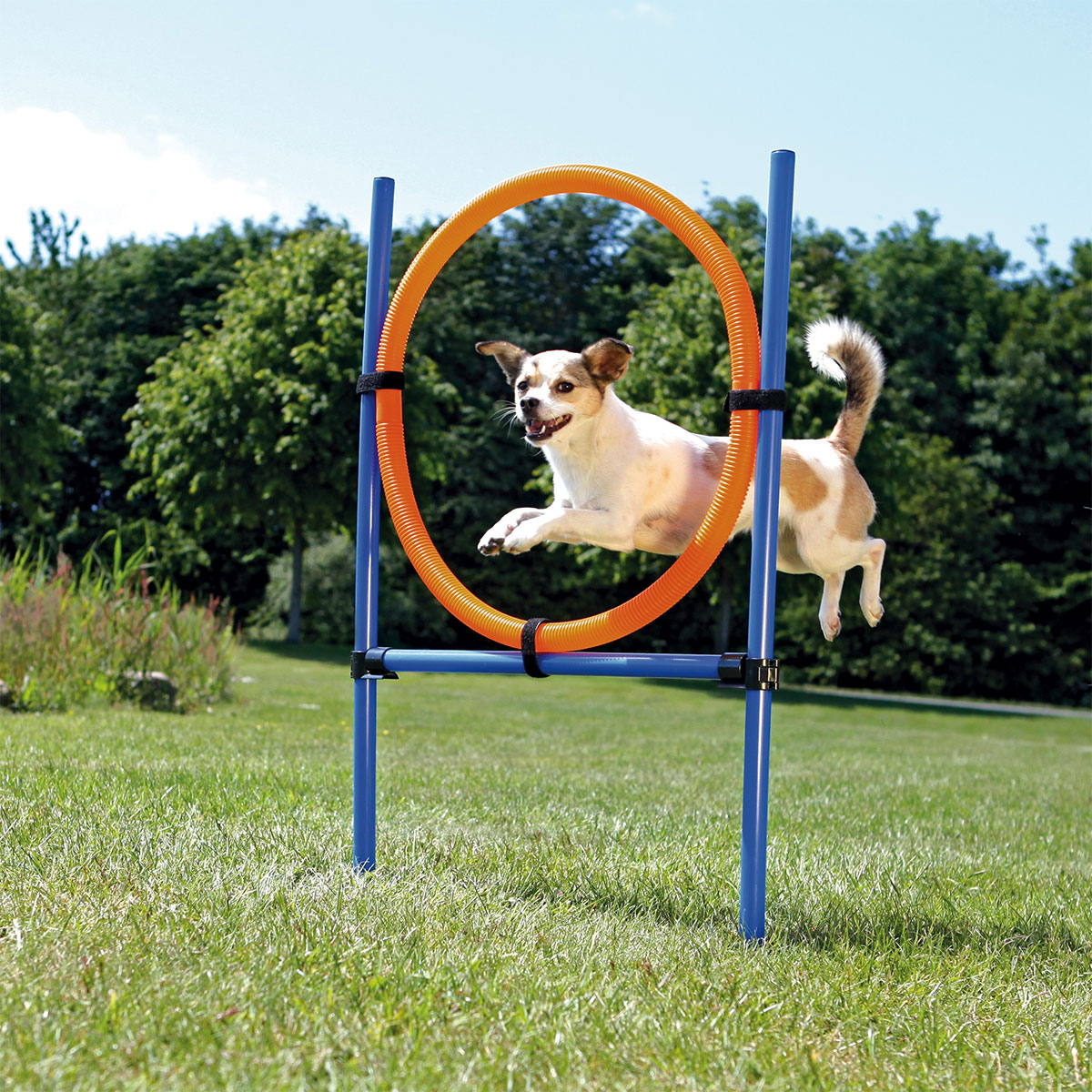 Trixie Dog Activity Agility Ring | Gebrauchtware