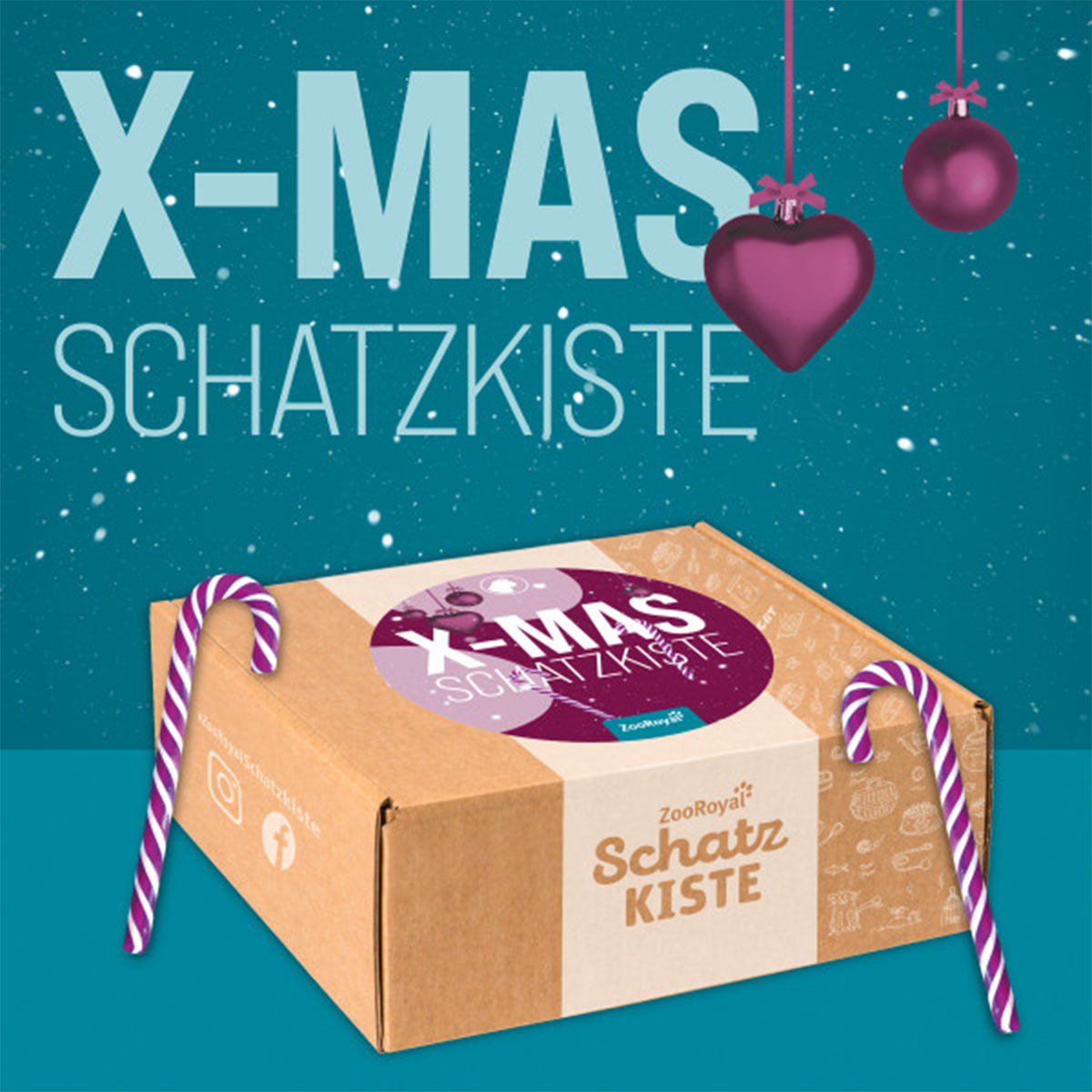 ZooRoyal Schatzkiste Katze Xmas-Edition